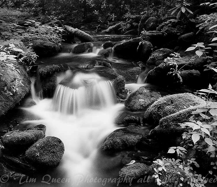 Tusquitee Cascade