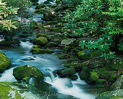67B1P62R3N2-Edit-Edit-Edit-1.jpg