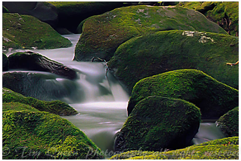 135B2P7R3N6A-Edit-3-1.jpg