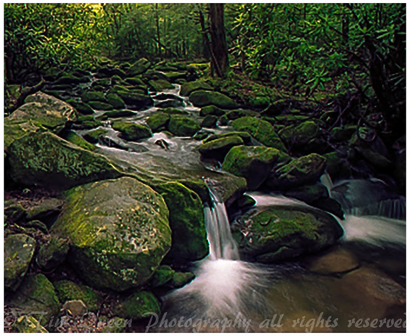 135B2P7R5N19-Edit-2-1.jpg