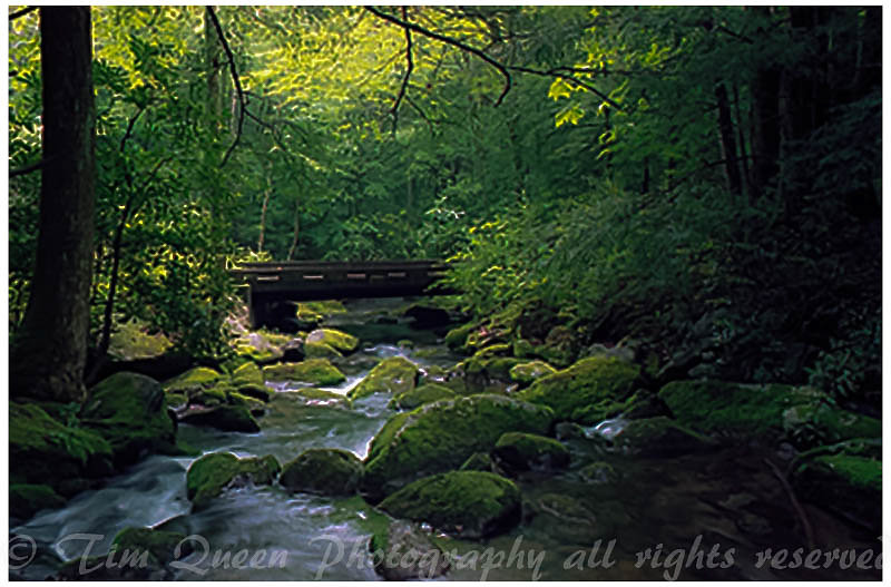 135B2P7R5N26-Edit-3-1.jpg