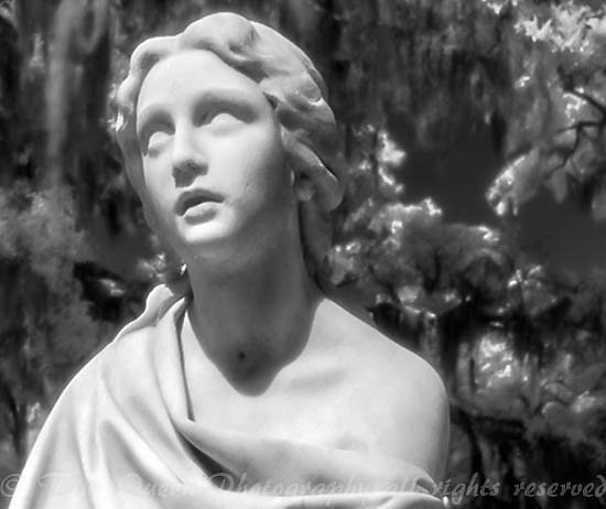 Prayer for Her Loved One