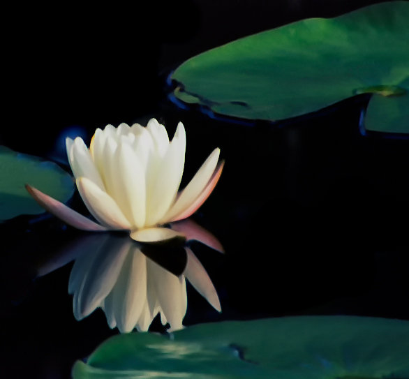135B1P54R2N35-Edit-2-Edit-Edit-Edit.jpg