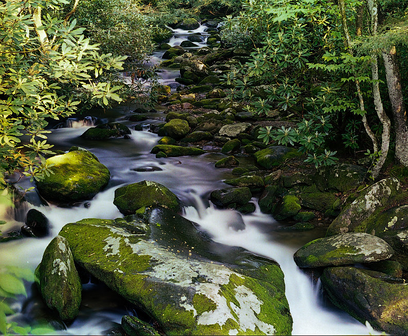 Spring Cascades