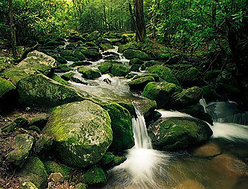 Cascades