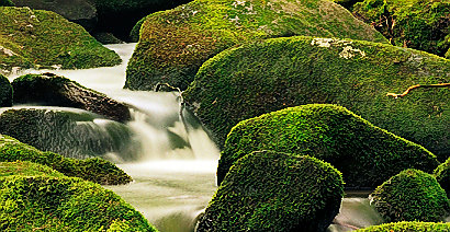 Stepping Stone