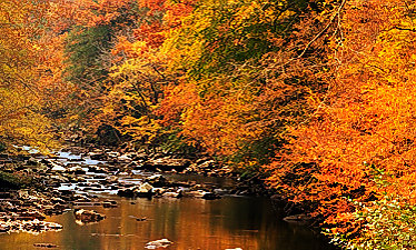 Fall on Little River