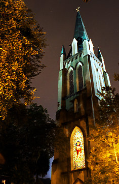 Savannah at Night