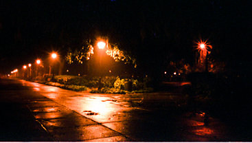 Forsyth Park