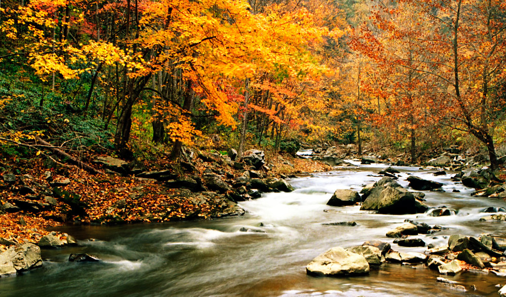 Fall cascades