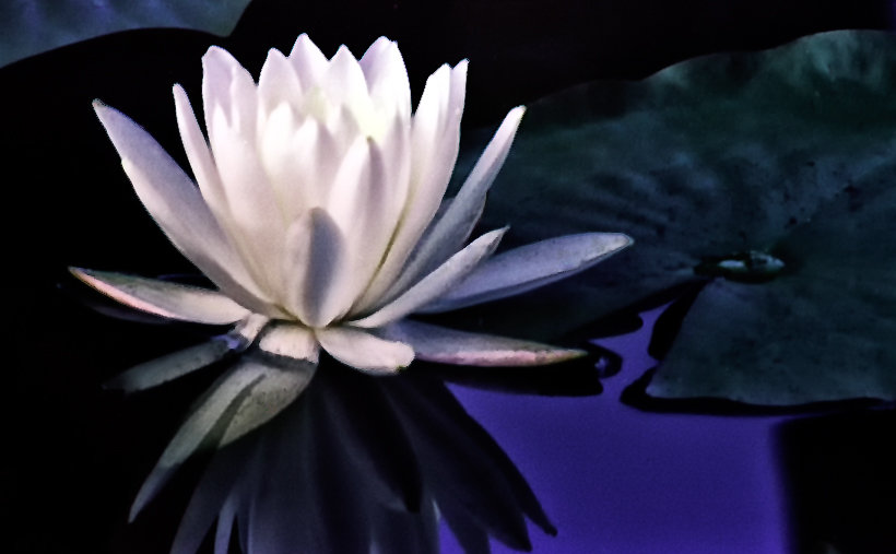 135B1P55R2N31-Edit-Edit.jpg