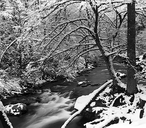 Little River Winter